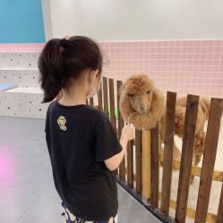 -Moni星球萌宠·小马宝莉·灵蛇·高端高阶全萌宠互动体验俱乐部(红豆国际广场店)