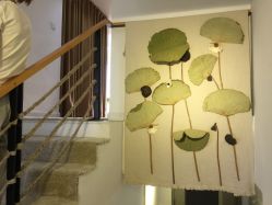 -酉嘉瑜伽YO+YOGA