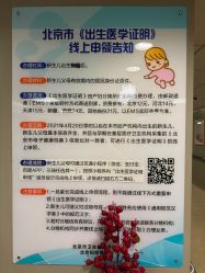 -北京新世纪妇幼医院·产检·分娩·计生(望京院区)