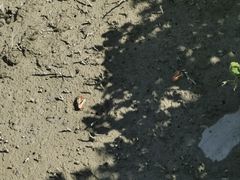 -北海金海湾红树林生态旅游区