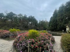 -庐山风景区花径公园