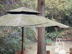 -上海怡沁园度假酒店