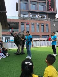 点击看大图 -恐龙探索乐园(磁器口店)