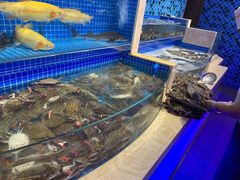 水产区-乔哥铭洋海鲜自助(皇城恒隆广场店)