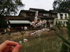 -小河无名面馆
