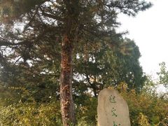 -北京鹫峰国家森林公园