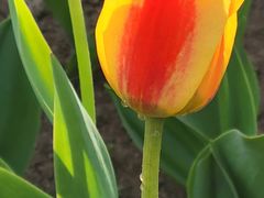 -长春公园(普阳街道)