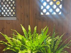 -慢丽江·云南野生菌土鸡锅(付家庄店)