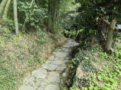 -宁波浙东大竹海景区