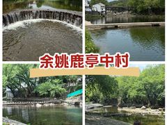 -鹿亭中村
