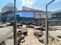 -四川美术学院美术馆