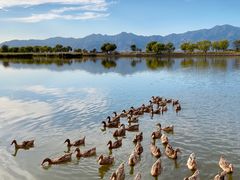 -野鸭湖国家湿地公园