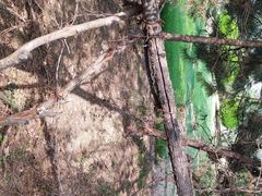 -森林公园(尖草坪区)