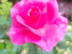 -井水小厨·湘菜(活力广场店)