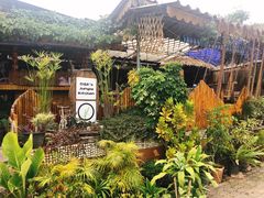 -Jungle Kitchen