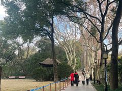 -上海醉白池公园
