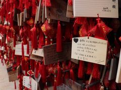 -峨眉山报国寺