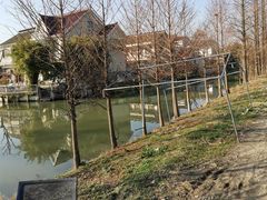 -喜杨洋草莓采摘园