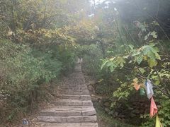 -遵化市禅林寺古银杏风景园