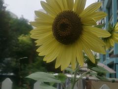 -康源四季推拿足道(罗秀店)