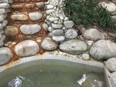 -三江森林温泉度假区