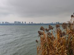 -无锡蠡湖国家湿地公园-蠡园