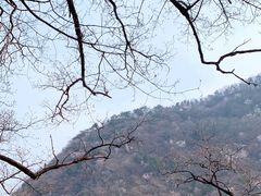 -北京鹫峰国家森林公园