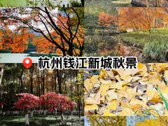 -钱江新城