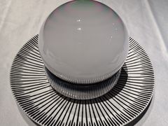 分子靓影寻鹅肝-二十四单 淮扬新味