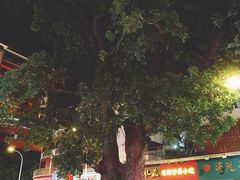 门面-爱啊石花膏