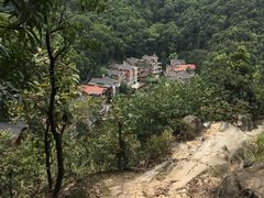 -南山植物园