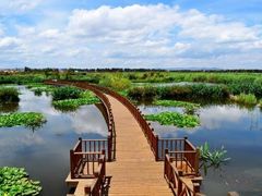 -五甲塘生态湿地公园