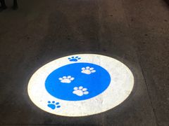 -猫咪博物馆(顶澳仔猫街店)