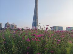 -海心沙亚运公园