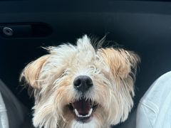 -萌宠主义宠物生活馆(金山路店)