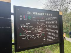 -重庆彩云湖湿地公园