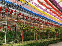 -南宫五洲植物乐园