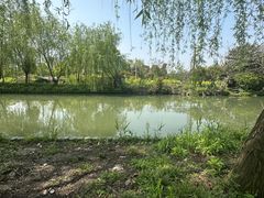 -广富林郊野公园