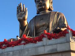 -龙口南山旅游景区