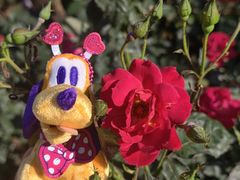 -库迪咖啡(星河COCOPARK坂田店)