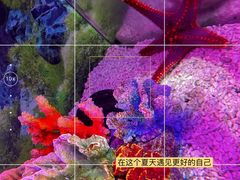 -正佳极地海洋世界