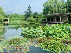 -国家植物园南园