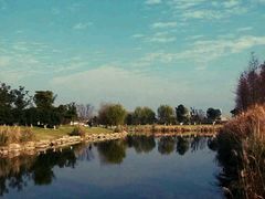 -九里河湿地公园