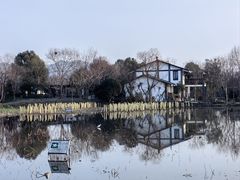 -西溪国家湿地公园