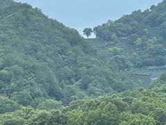 -杭州西湖风景名胜区-满觉陇四眼井