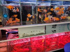 -花辰月夕花坊(北滨路店)