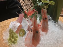 三文鱼腩手握寿司-渔寿司·日本料理(艾尚天地店)