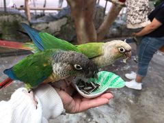-昆明动物园