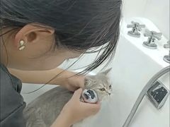-爱洗澡的猫(天河路店)