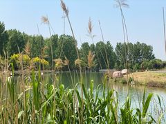 -淇河国家湿地公园